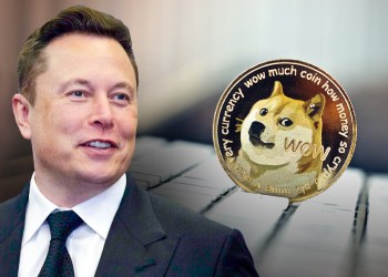 Elon Musk Dogecoin Twitter