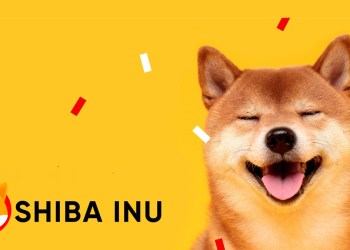 Shiba Inu SHIB Binance petition