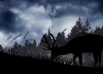 Bitcoin supermoon buck moon