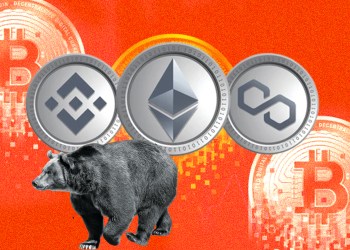 Crypto bear market institutional investors