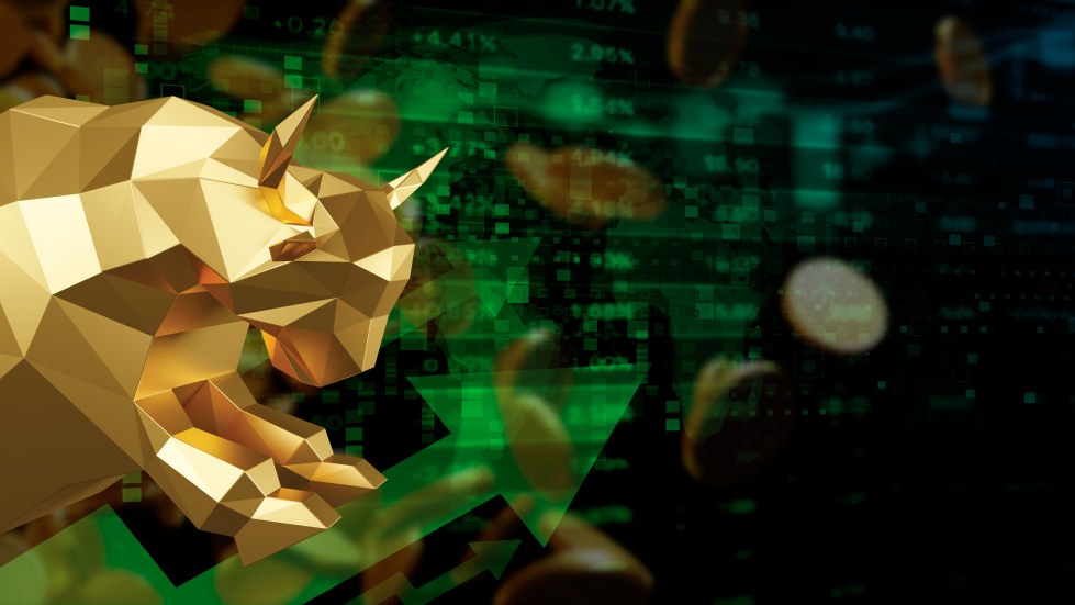 PEPE, SHIB, meme coins