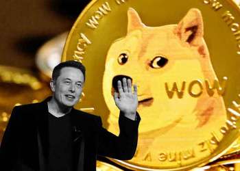 Elon Musk Dogecoin X