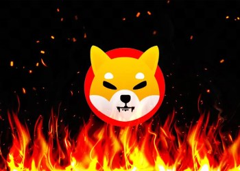 Shiba Inu burn bear