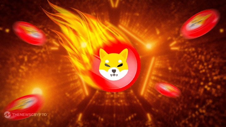 Shiba Inu Shibarium SHIB Burn