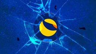 Terraform Labs Small