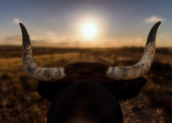 Bitcoin crypto week ahead preview