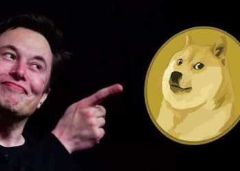 Elon Musk Dogecoin