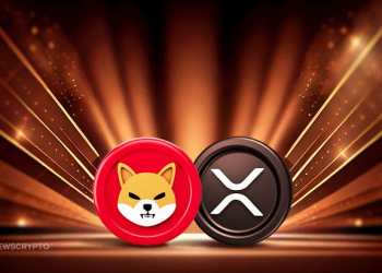 Shiba Inu XRP BitTrade