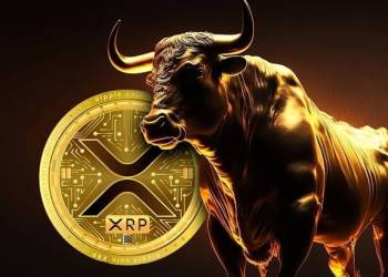 XRP price bull