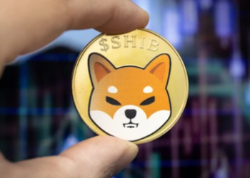 Shiba Inu