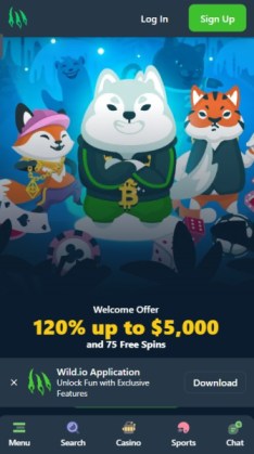 ワイルドアイオーカジノ