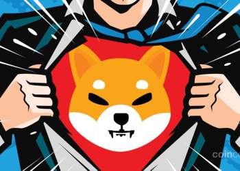 Shiba Inu