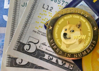 Dogecoin payments