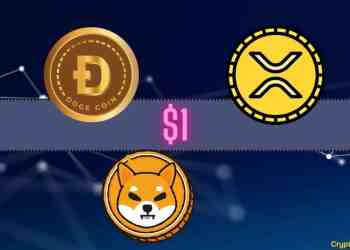 DOGE SHIB XRP