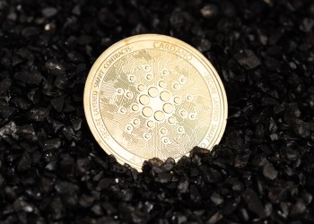 Cardano price