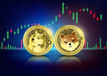 Shiba Inu Dogecoin