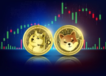 Shiba Inu Adoption Explodes Almost 20x, Can SHIB Dethrone DOGE?