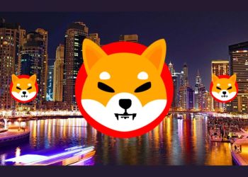 Shiba Inu