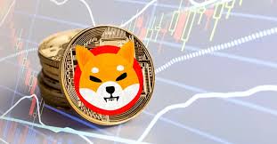 Shiba Inu