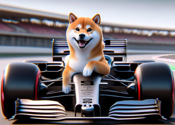 Shiba Inu Shibarium speed improvement