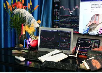 GameStop GME meme coins