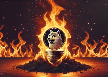 Shiba Inu burn