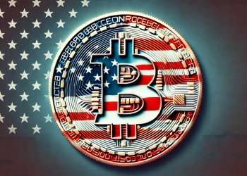 US Bitcoin owners survey