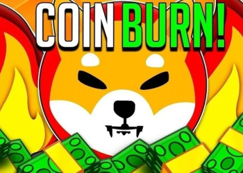 Shiba Inu SHIB Burn Binance petition