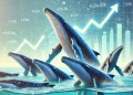 Toncoin Whales