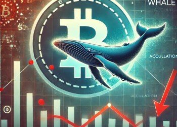 Is Bitcoin’s Bull Run Over? Report Shows Declining Whale Accumulation Points to Bearish Outlook