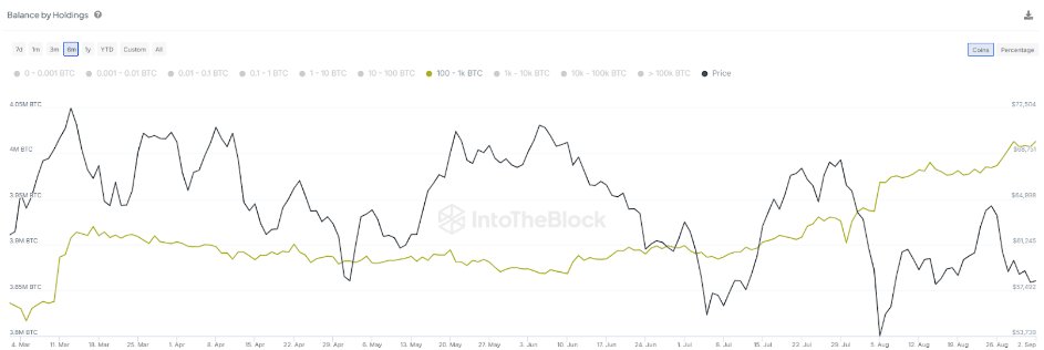 BTC balance by holdings show whales control 20.3% of the circulating supply.