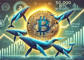 Bitcoin Whales Bought 1.5M BTC In The Past 6 Months: Smart Money Accumulation?