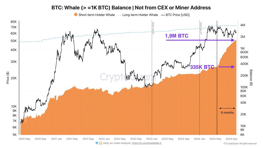 Bitcoin whales accumulating | source: @AxelAdlerJr via X