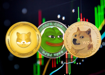 Dogecoin, PEPE, or RCO Finance: Which Altcoins Can Get You $50,000 for $500?
