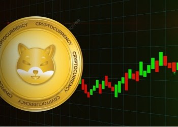 Shiba Inu Analyst Warns of SHIB Price Drop as Shibarium Adoption Collapses, Points to $0.03 Altcoin for 5000x Gains