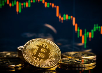 Legendary Bitcoin Trader Says This Under the Radar Dogecoin Killer is Rising from $0.03 to $1 by 2025