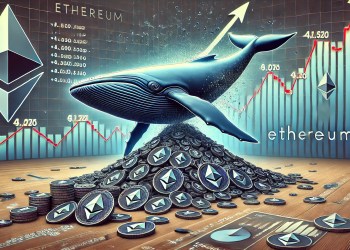 Ethereum Whale