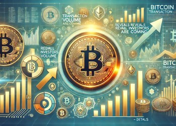 Bitcoin Transaction Volume Reveals Retail Investors Are Coming – Details