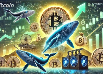 Bitcoin Miner Company Goes On A Buying Spree – Whales Expect Higher Prices