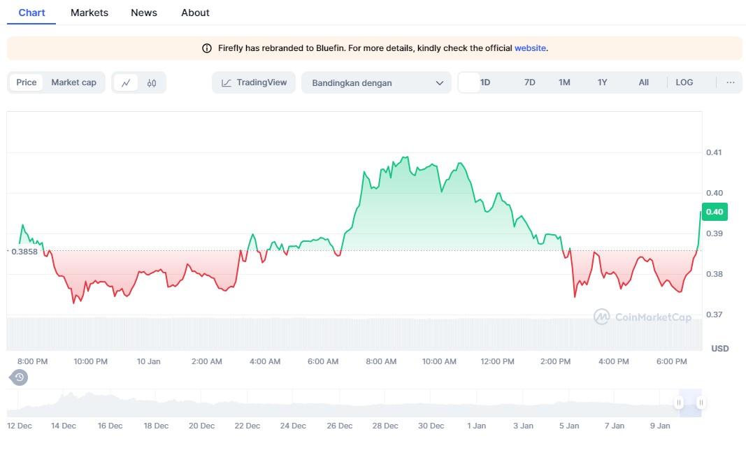 Apa itu Bluefin - airdrop crypto 