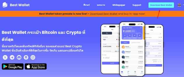 best-wallet-microcoins-promissoras