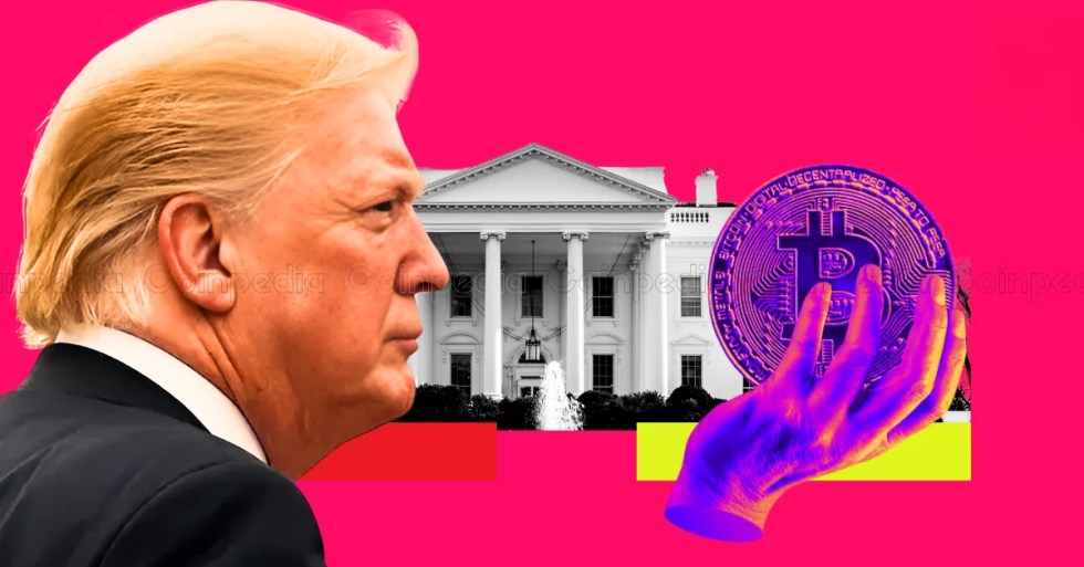 Bull Run Akan Terjadi? 4 Token Berikut Berpotensi Meledak Setelah Trump Perkenalkan Reformasi Pro-Crypto
