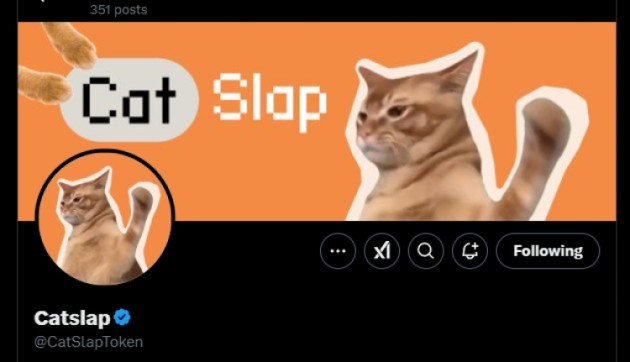 Catslap x