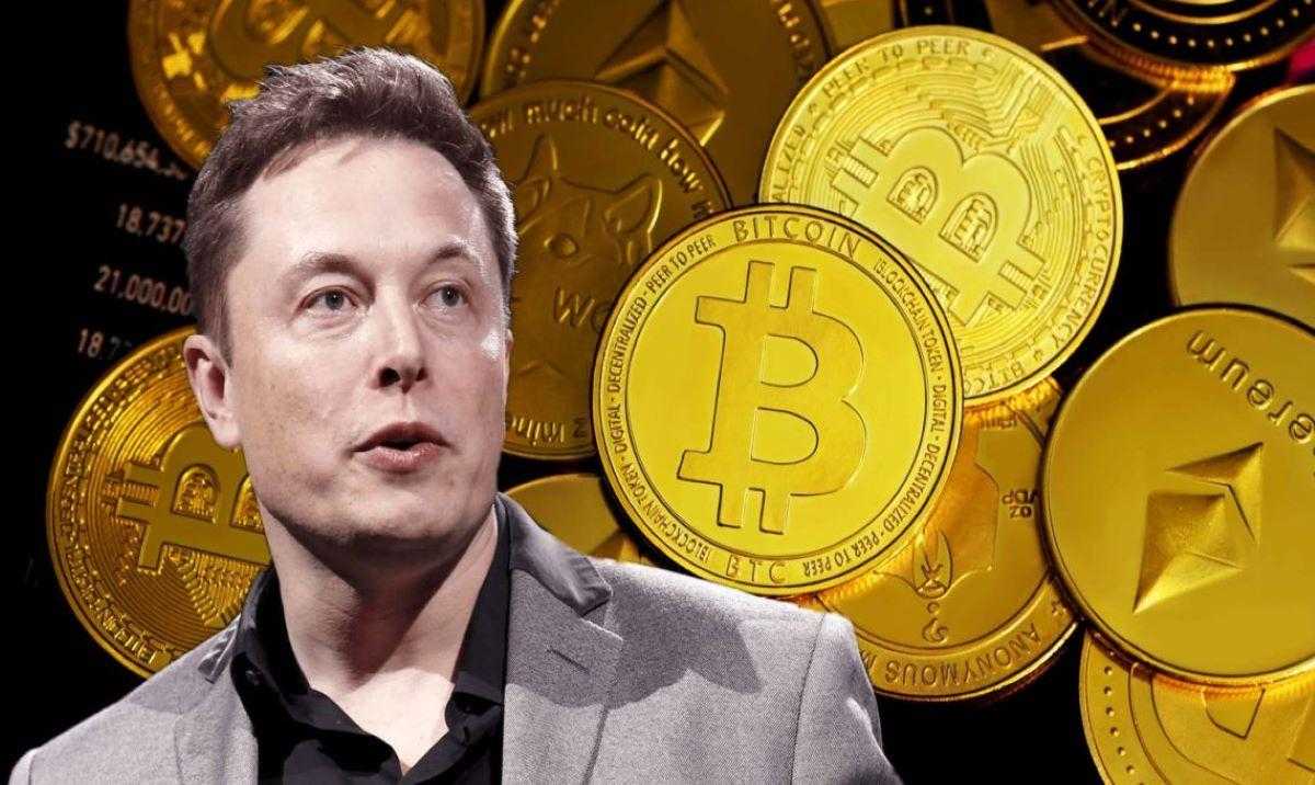 D.O.G.E Elon Musk Resmi Diluncurkan di Tengah Kontroversi – Bisa Membawa 5 Presale Ini Melonjak 100x di 2025