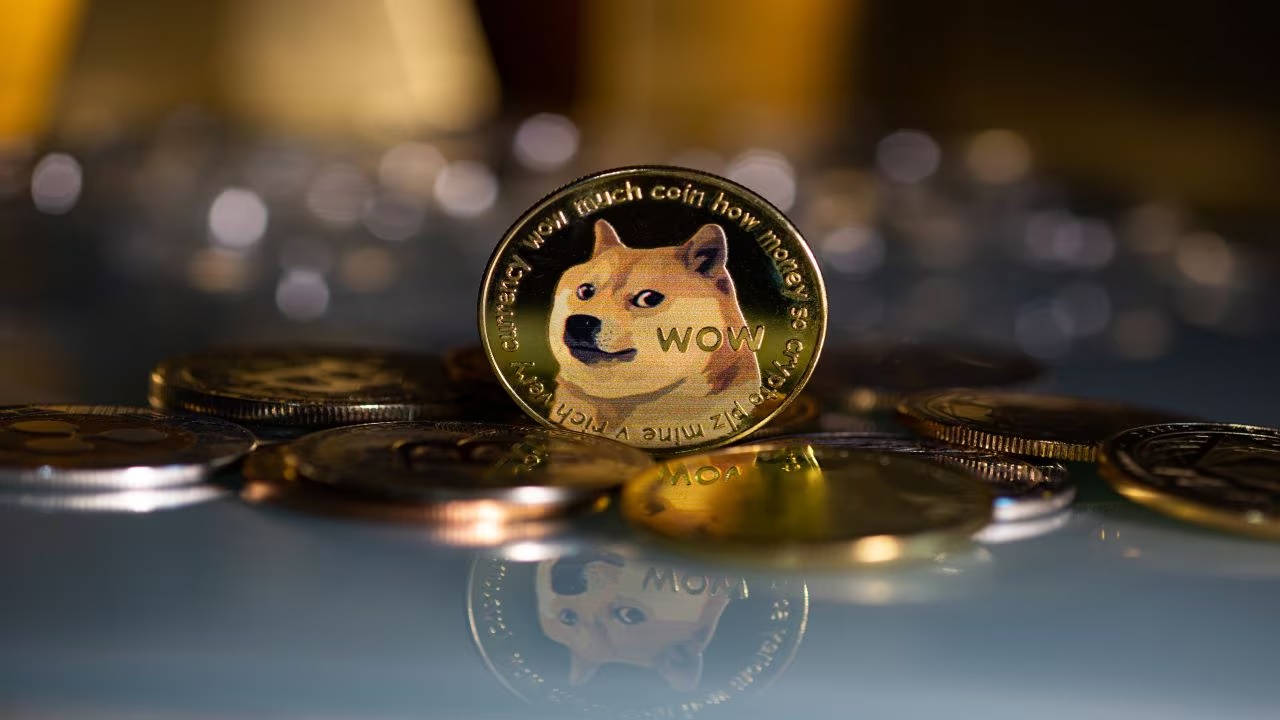 Doge dogecoin