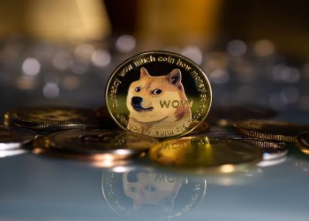 Doge dogecoin