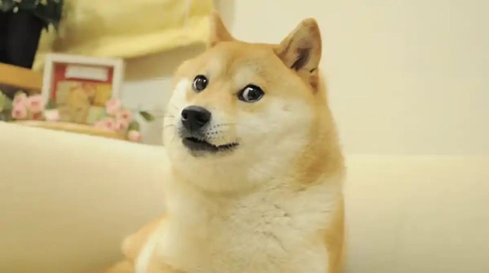 Dogecoin ETF Kabosu