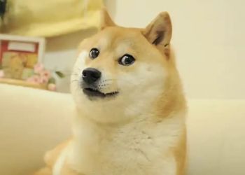 Dogecoin ETF Kabosu