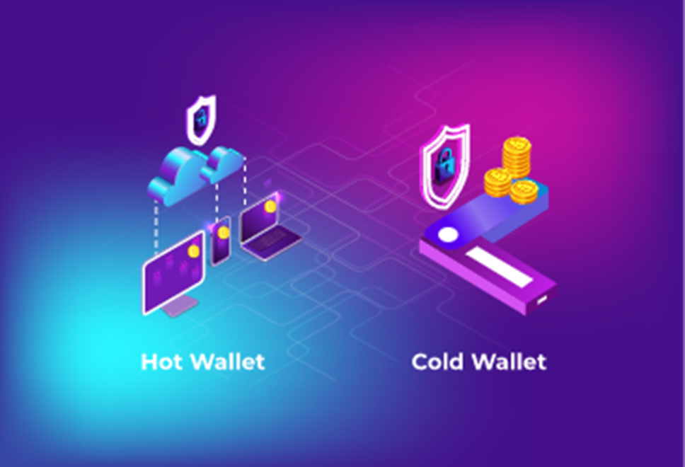 Hot vs Cold Wallet