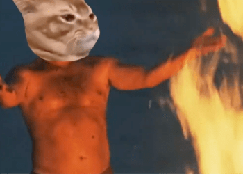 Catslap ($SLAP) เหรียญมีม Slap-to-Earn เตรียมเผาโทเค็นมูลค่า $1 ล้าน